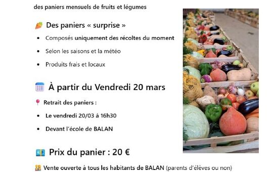 Vente de paniers de fruits et légumes de saison