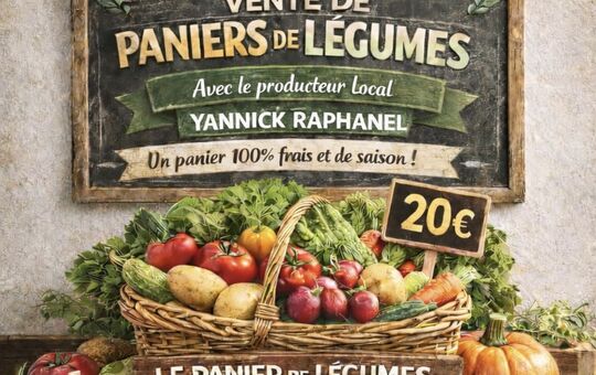 Vente de paniers de fruits et légumes de saison