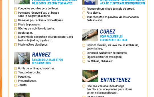 Lutte Moustique Tigre  Agir en prévention