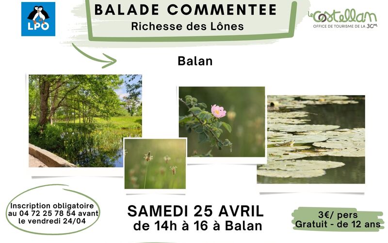 Toutes les actualités de Balan