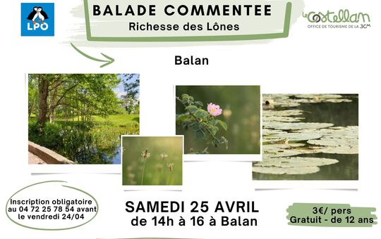 Balade commentée « Richesse des Lônes »