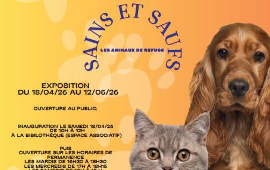 Exposition Bibliothèque de Balan